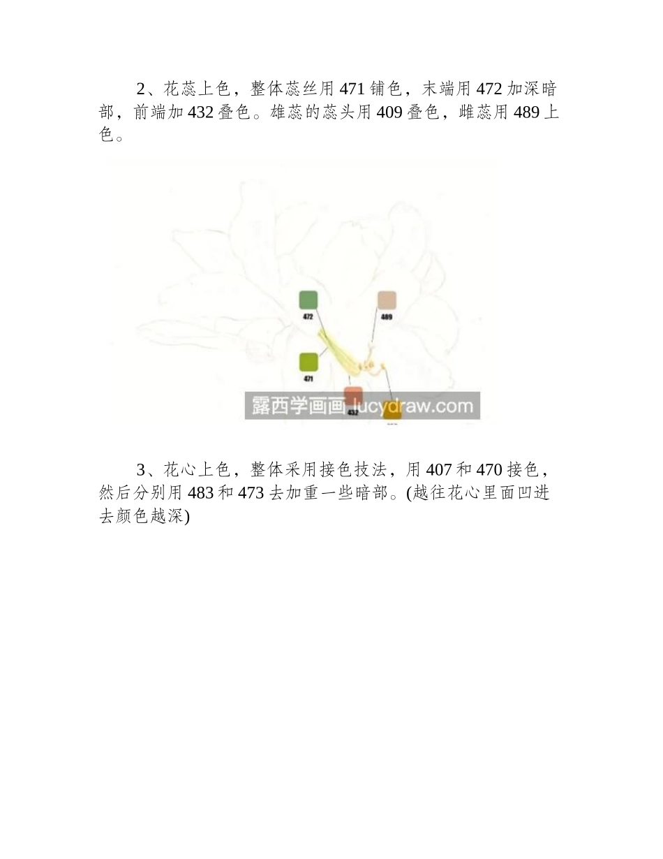 朱顶红怎么画_红花莲彩铅绘画步骤有哪些_彩铅画教程_第2页