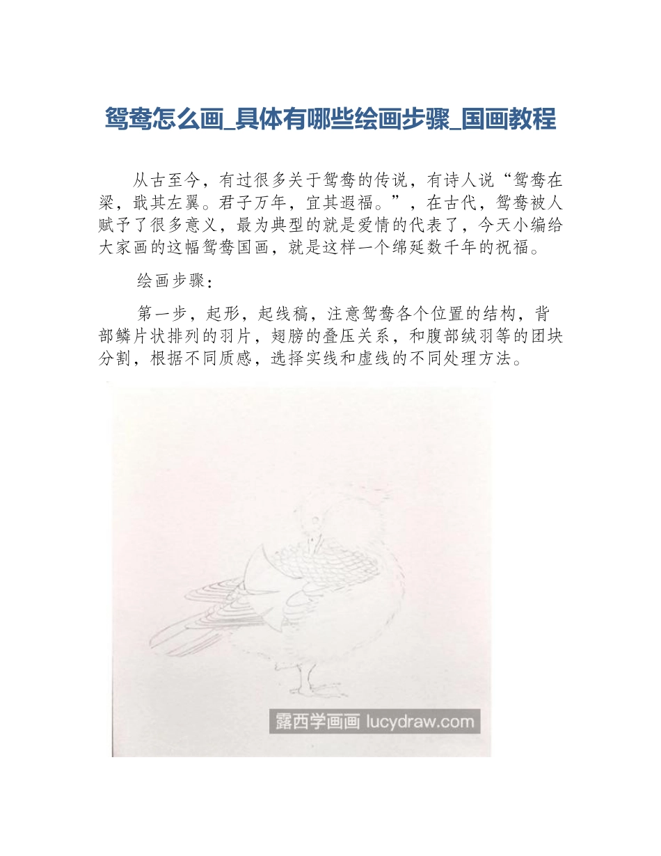 鸳鸯怎么画_具体有哪些绘画步骤_国画教程_第1页
