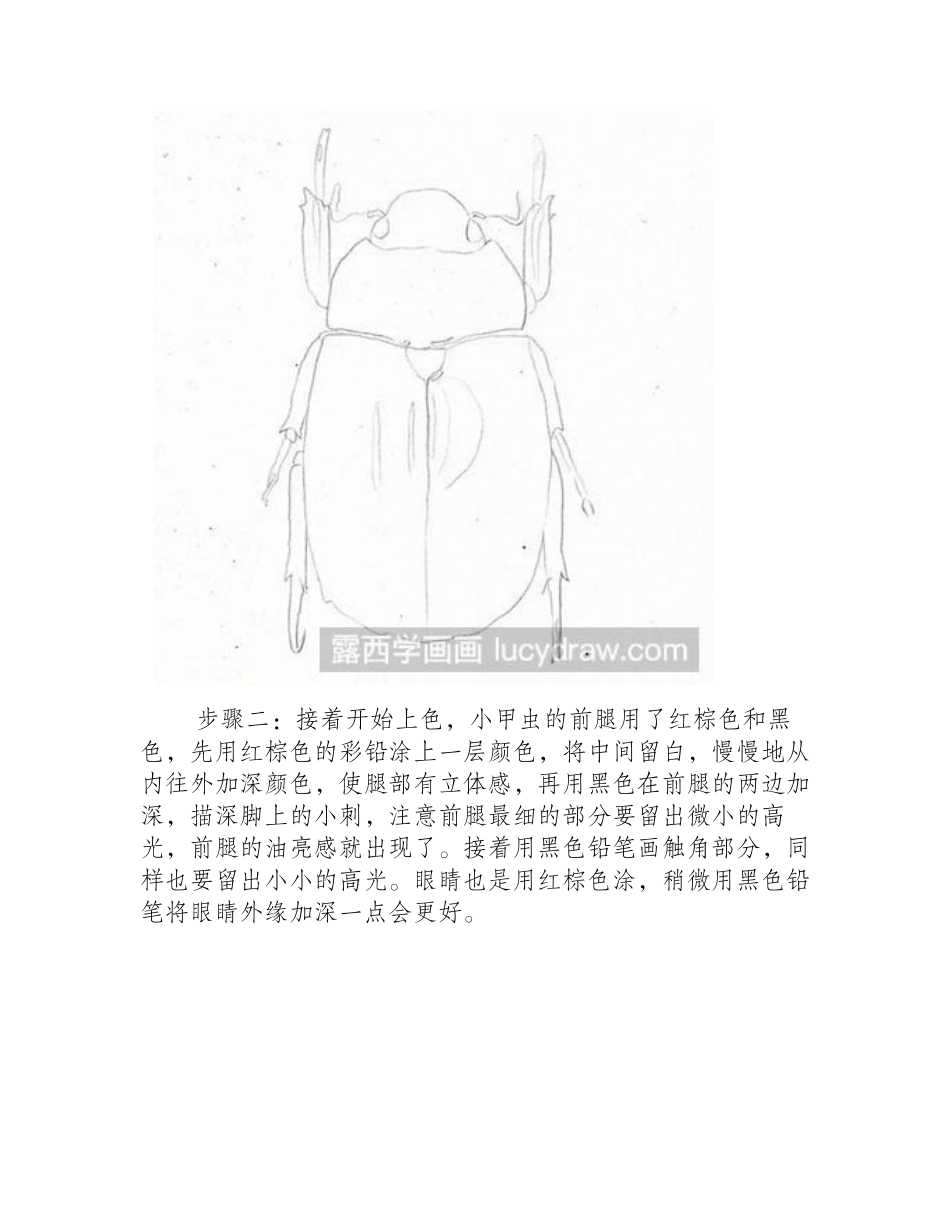 怎么绘制甲虫彩铅画教程_第2页