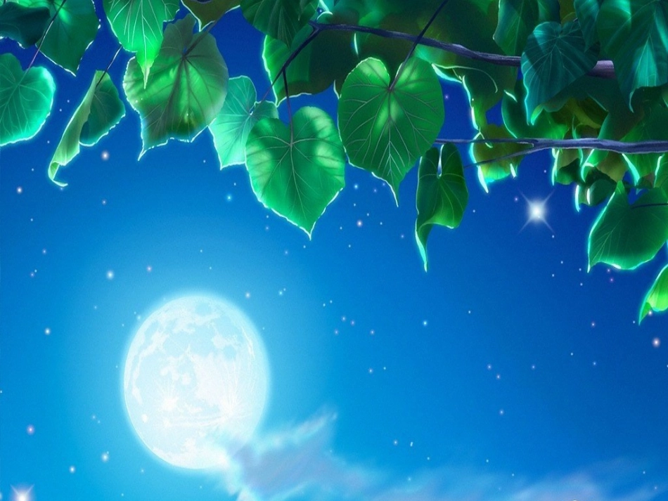 课件《8月亮的心愿》_第1页