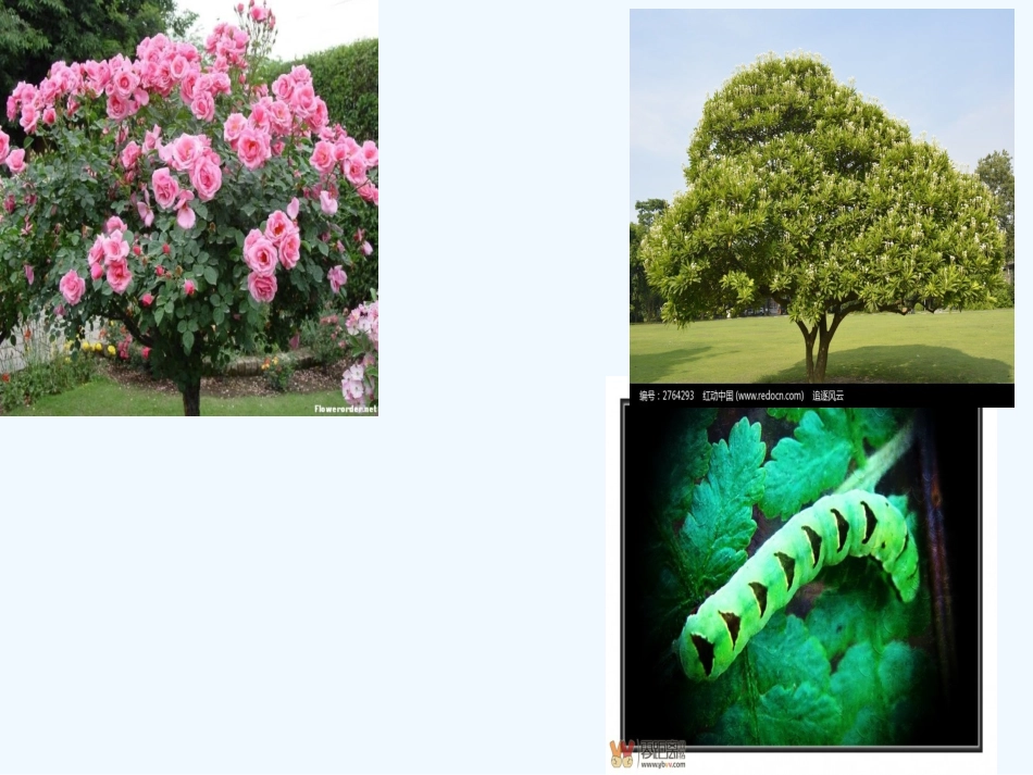 (部编)人教2011课标版一年级上册对韵歌-(4)_第2页