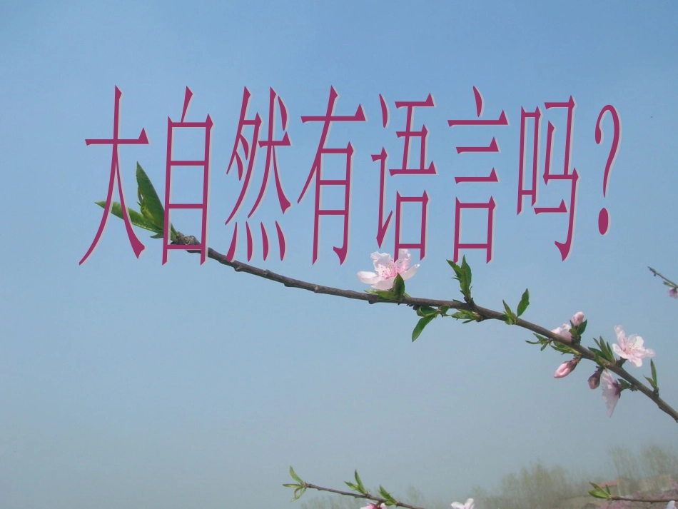 大自然的语言课件_第1页