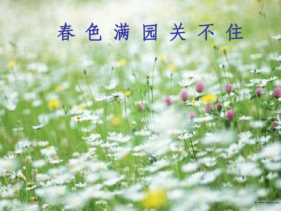 大自然的语言课件_第2页