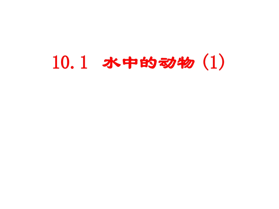 2013鱼类_第1页