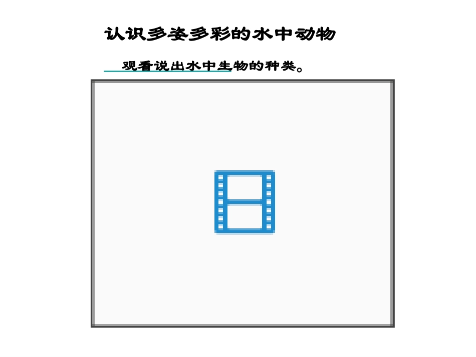 2013鱼类_第2页