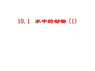 2013鱼类
