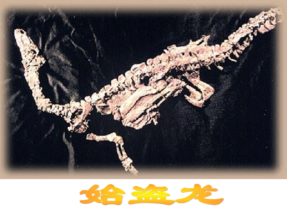 初一《化石吟》_第1页