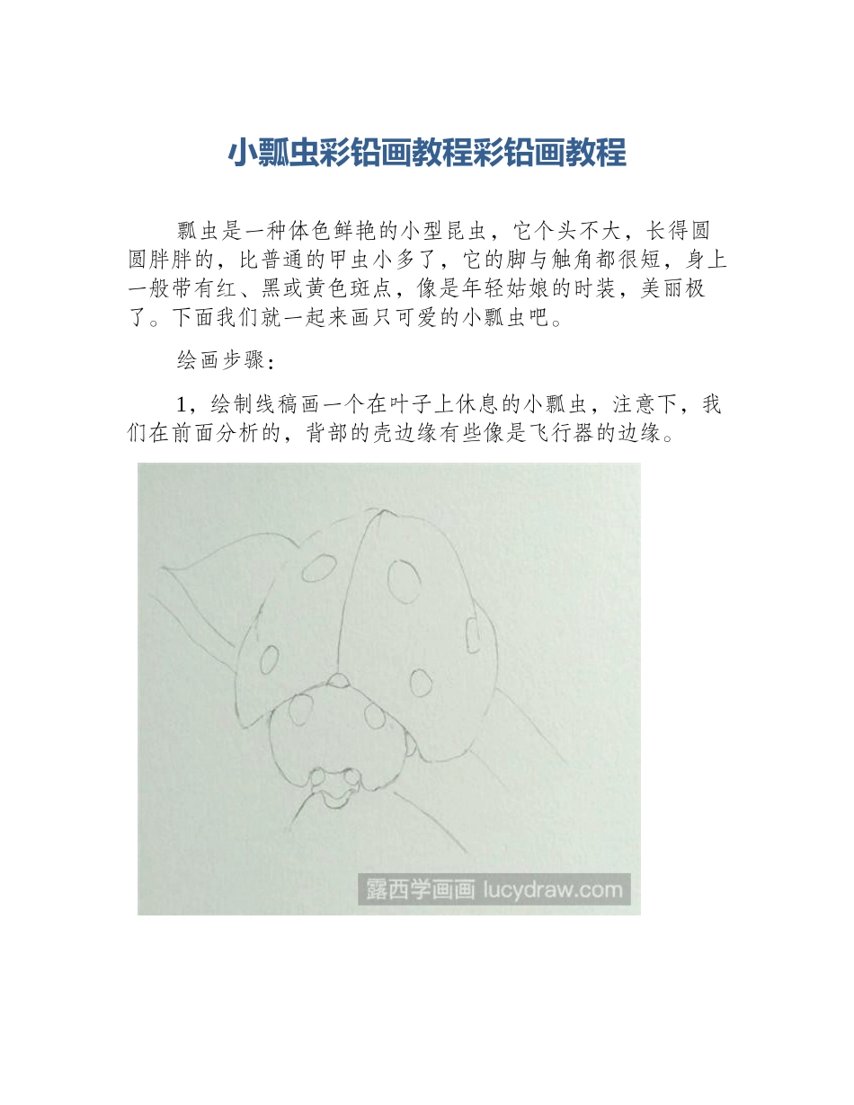 小瓢虫彩铅画教程彩铅画教程_第1页
