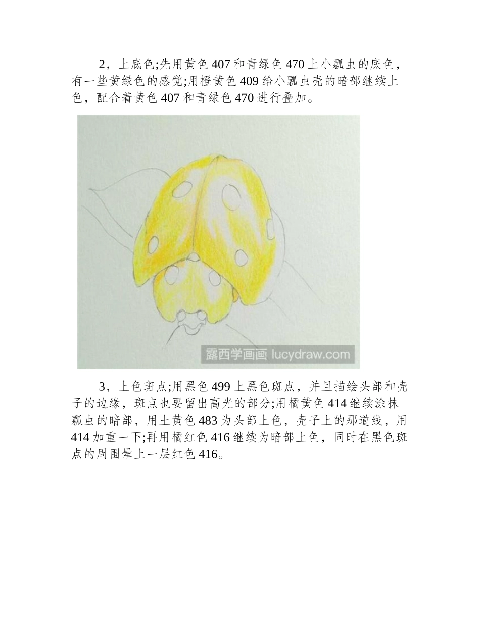 小瓢虫彩铅画教程彩铅画教程_第2页