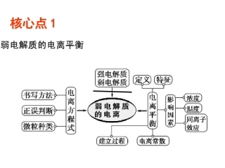 水溶液中的离子平衡