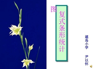 人教2011版小学数学四年级复式条形统计图ppt