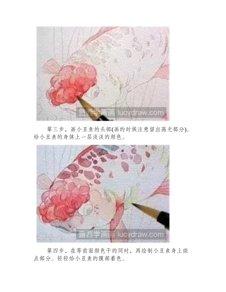 怎么用水彩画小丑鱼水彩画教程_第2页