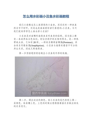怎么用水彩画小丑鱼水彩画教程