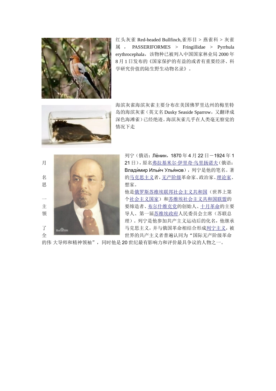 灰雀列宁资料_第2页