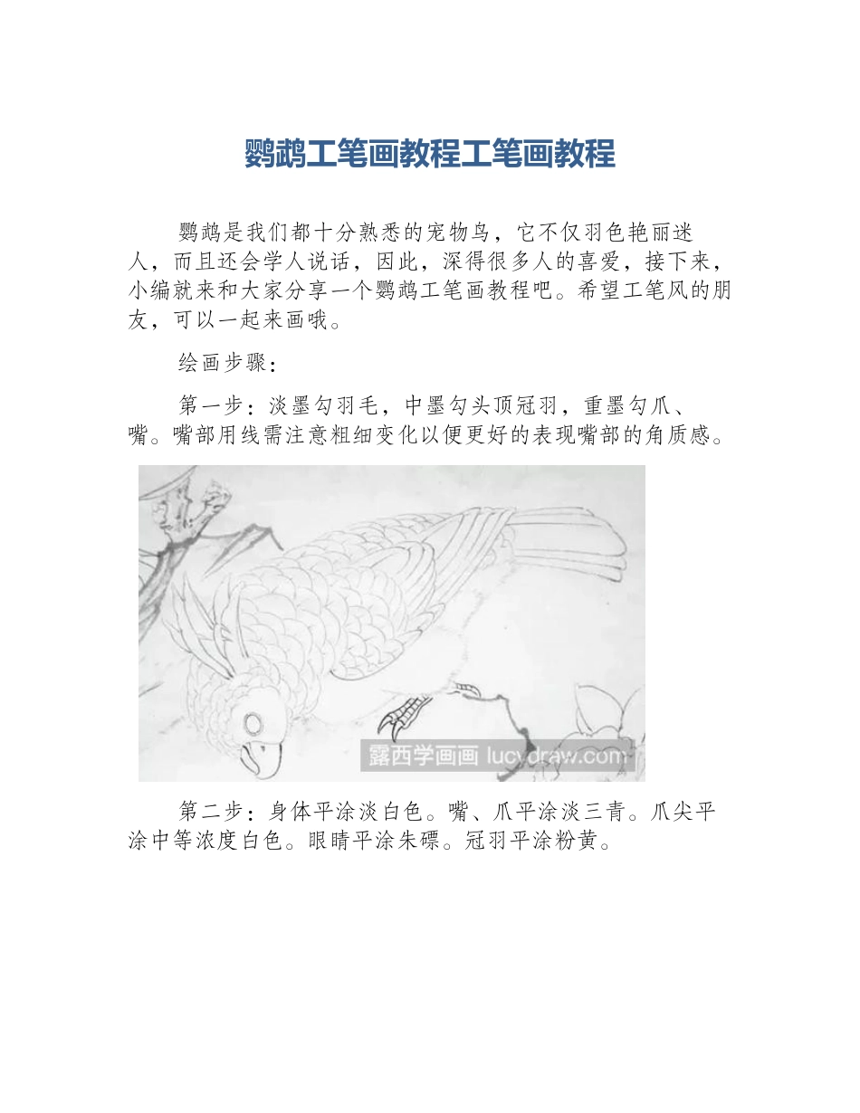 鹦鹉工笔画教程工笔画教程_第1页