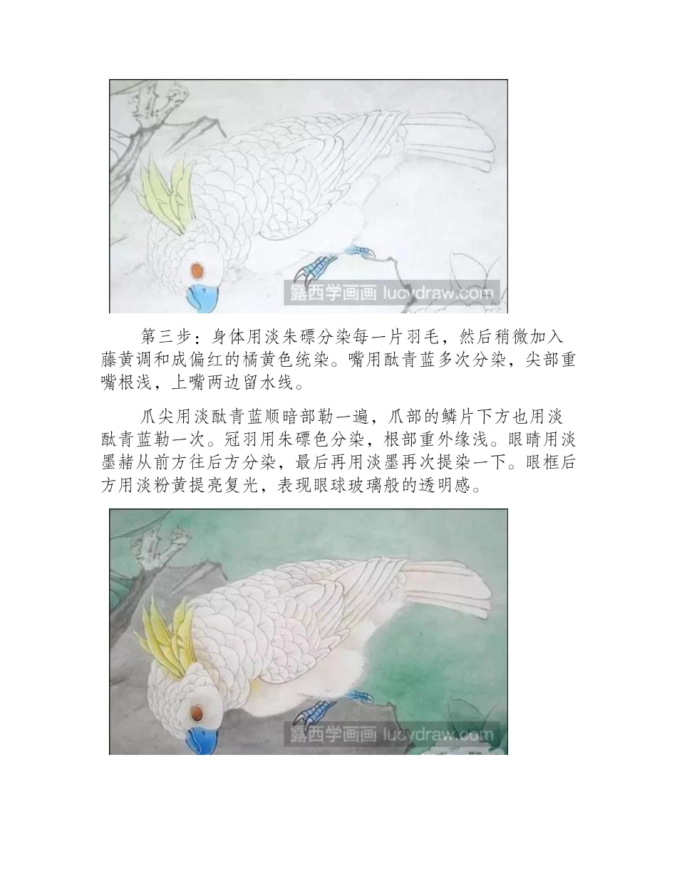 鹦鹉工笔画教程工笔画教程_第2页