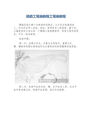 鹦鹉工笔画教程工笔画教程