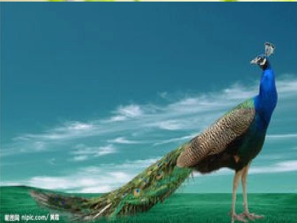 人教2011版小学数学三年级三位数加三位数连续进位加法_第3页
