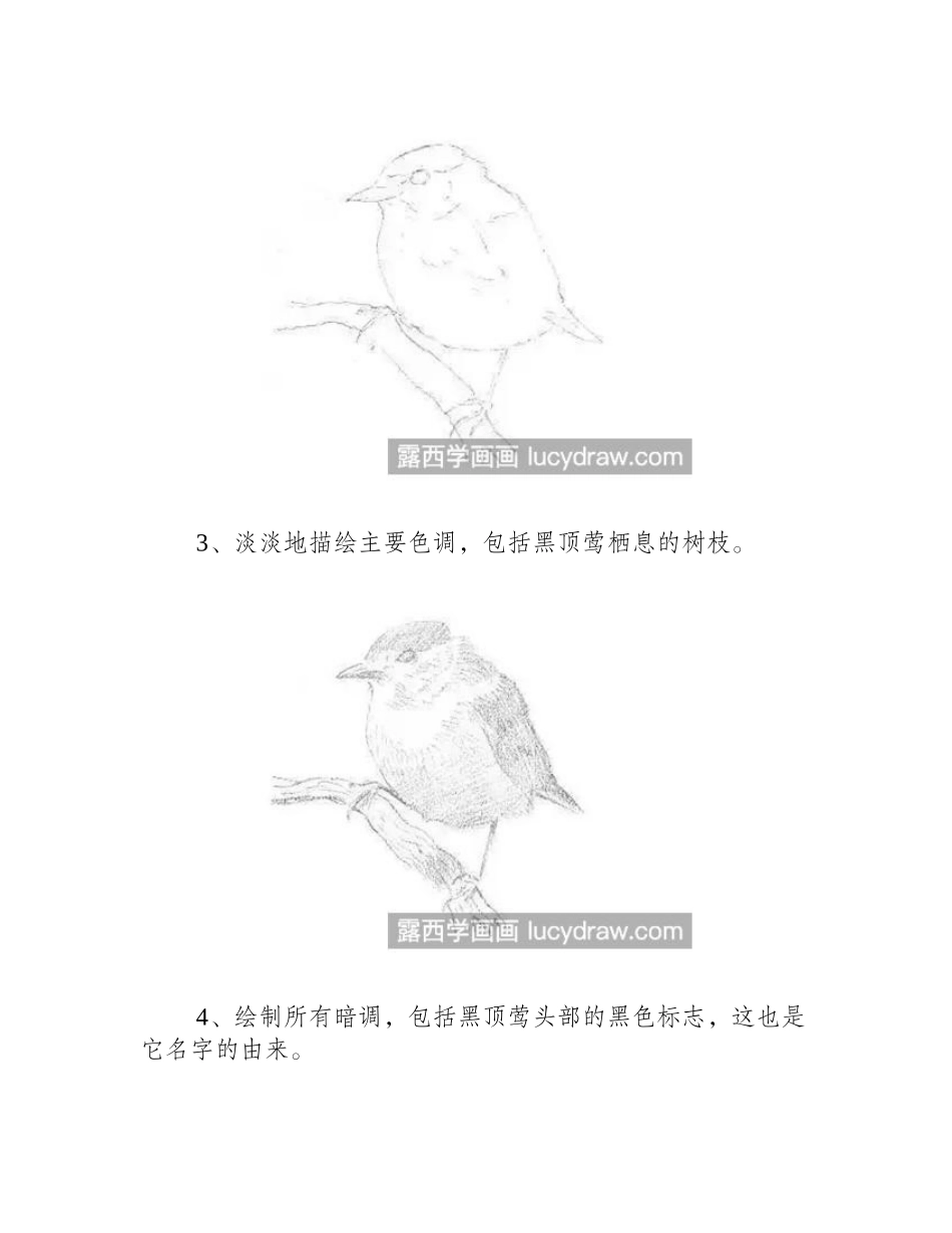 莺和鹰怎么画_老鹰的步骤有几步_素描教程_第2页