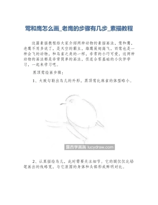 莺和鹰怎么画_老鹰的步骤有几步_素描教程