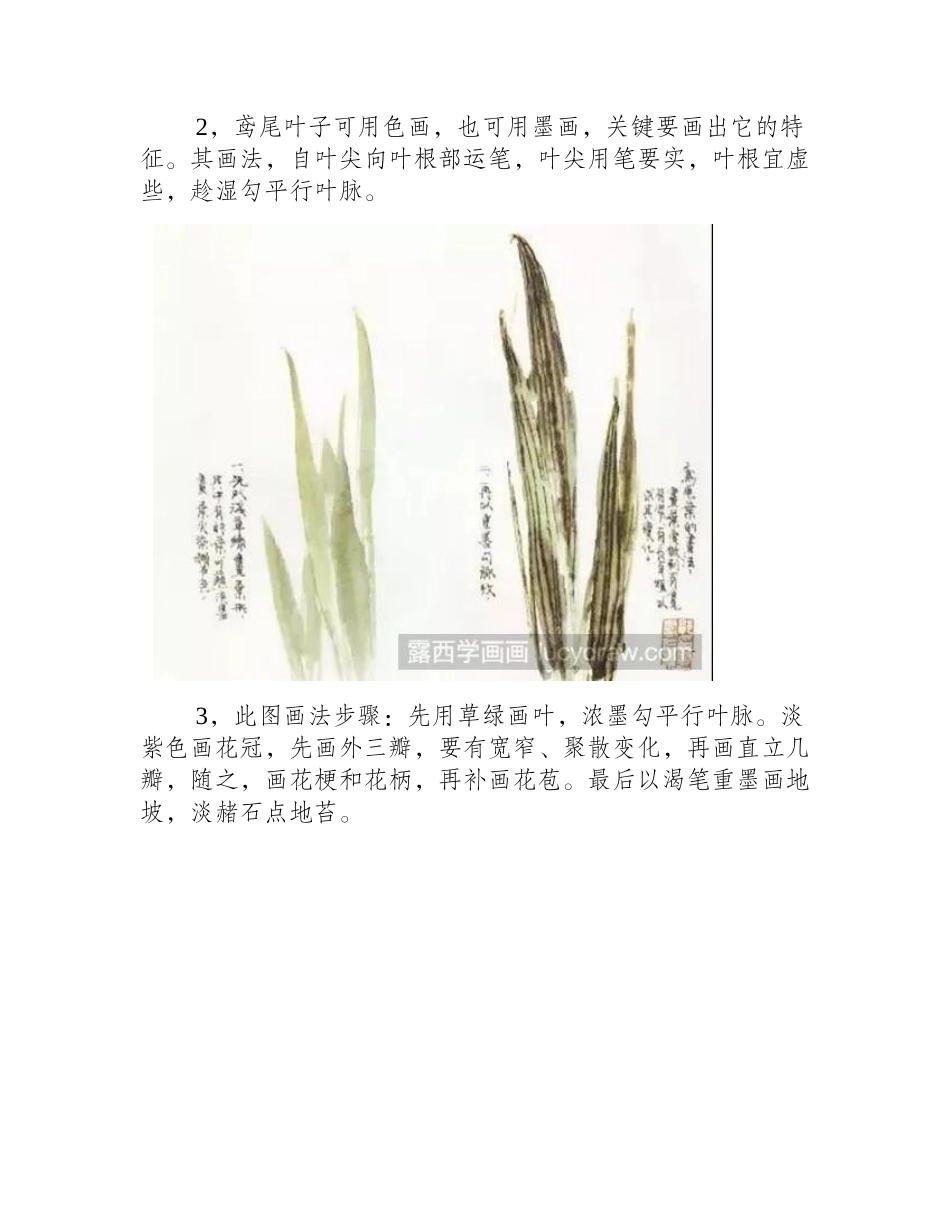 鸢尾花国画教程国画教程_第2页