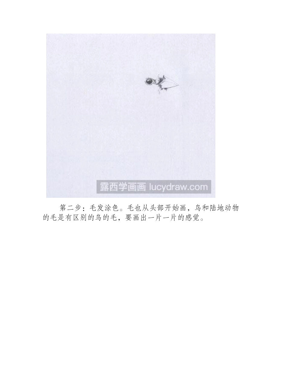怎么画圆珠笔画麻雀素描教程_第2页
