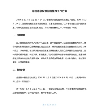 巡视巡察反馈问题整改工作方案 
