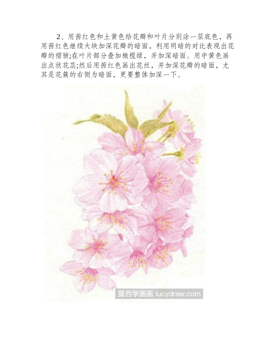 用彩铅怎么画樱花彩铅画教程2_第2页