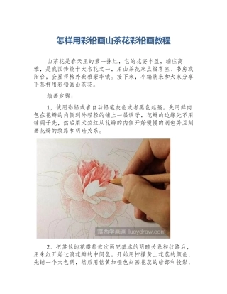 怎样用彩铅画山茶花彩铅画教程