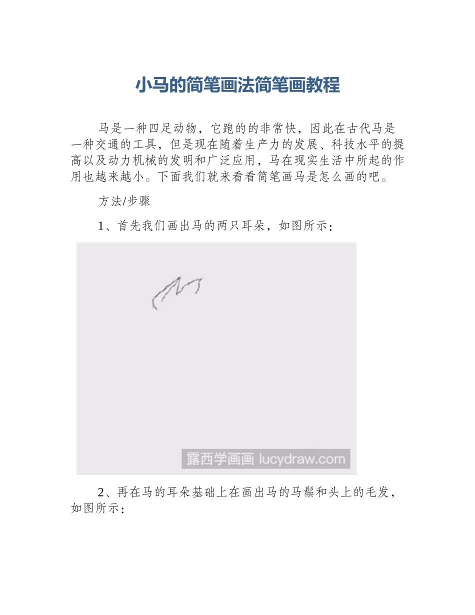 小马的简笔画法简笔画教程_第1页