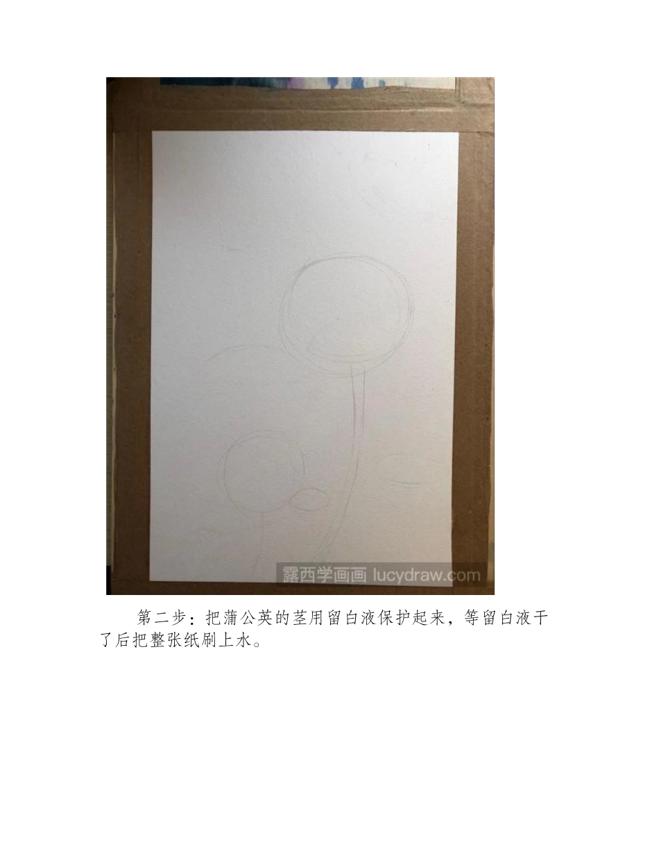 怎么用水彩画蒲公英水彩画教程_第2页