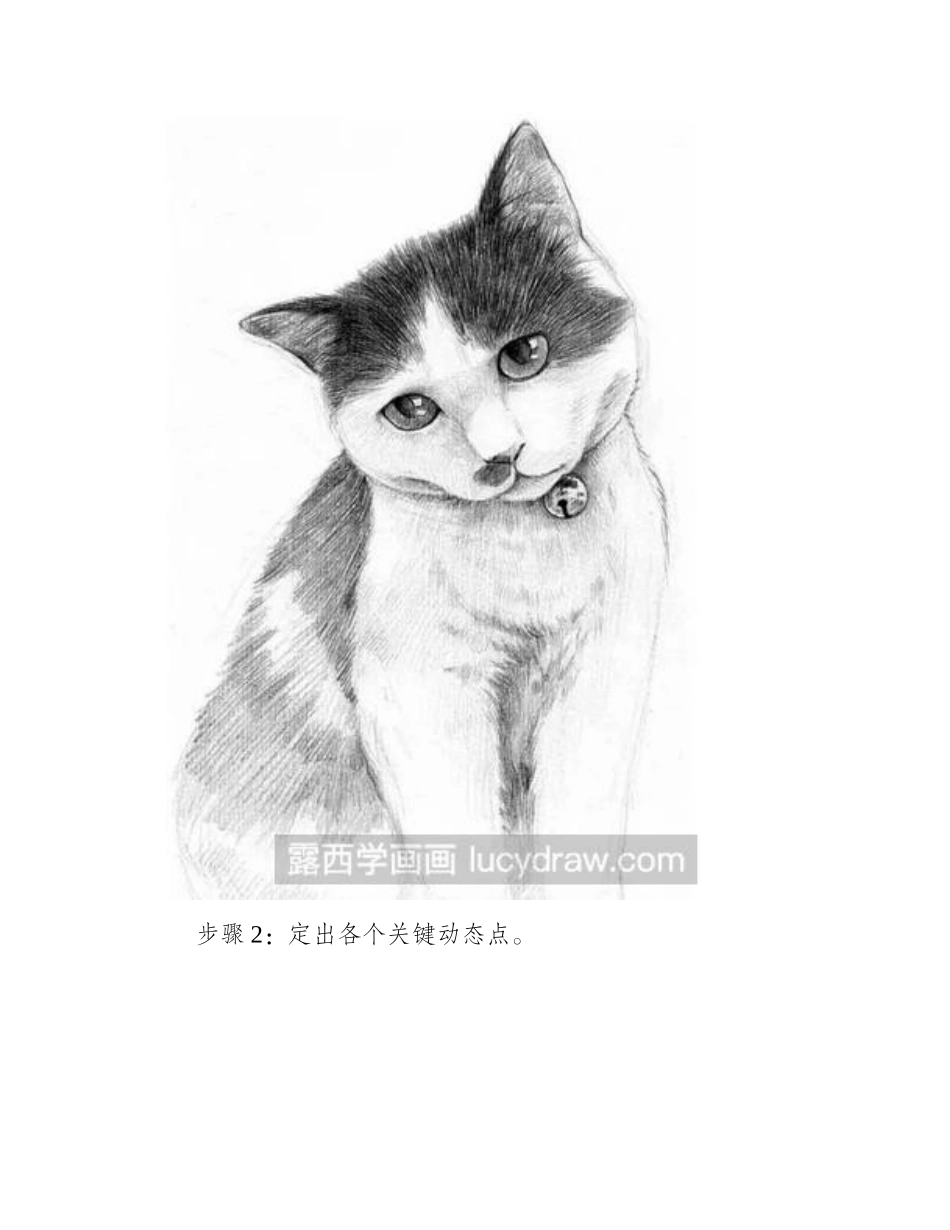 自家宠物猫素描画怎么画_素描教程1_第2页