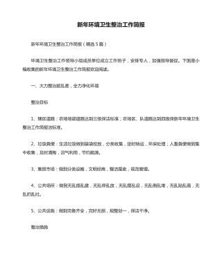 新年环境卫生整治工作简报(精选5篇) 