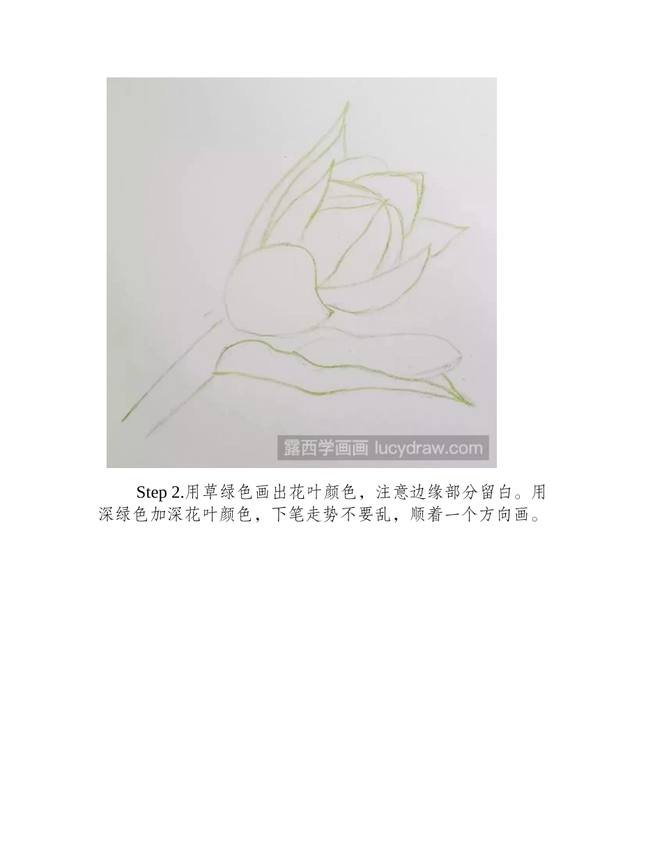 怎样画玉簪花彩铅画教程_第2页