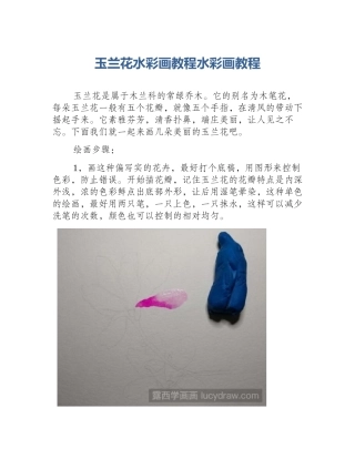 玉兰花水彩画教程水彩画教程
