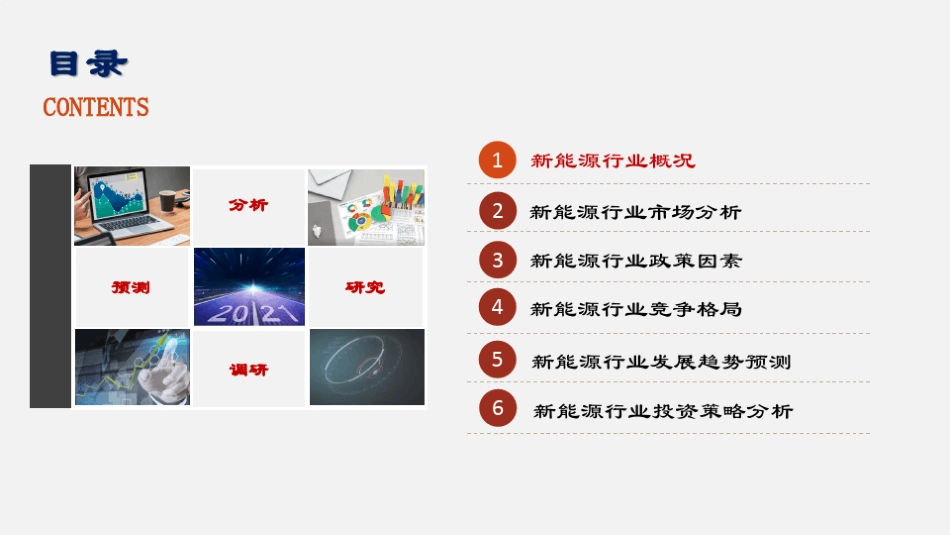 新能源行业调查研究报告_第2页