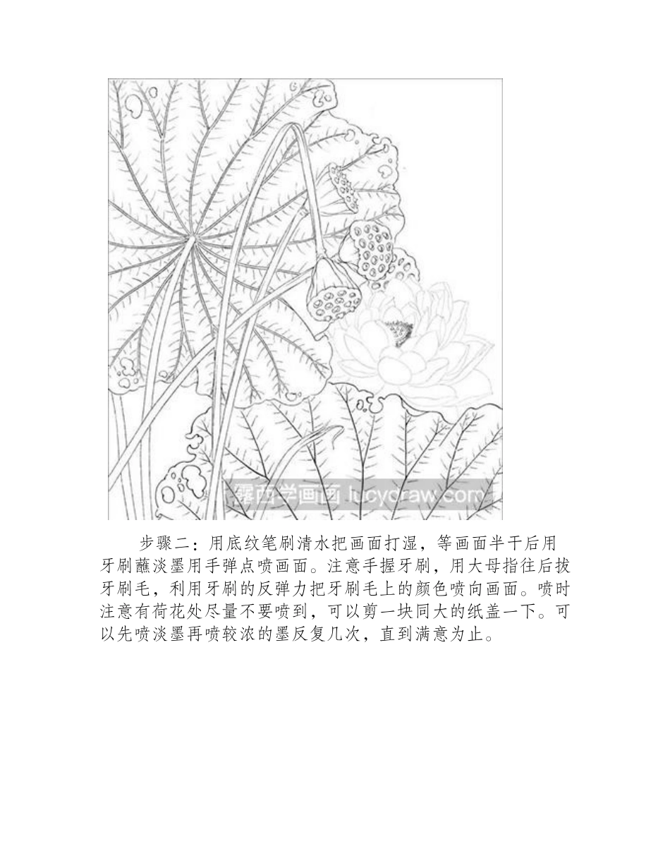 怎么绘制水墨荷花工笔画教程_第2页