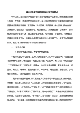 镇2022年工作总结和2023工作要点 