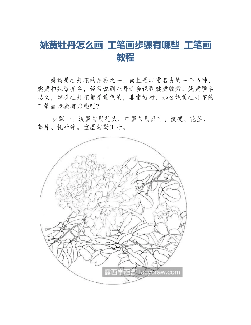 姚黄牡丹怎么画_工笔画步骤有哪些_工笔画教程_第1页