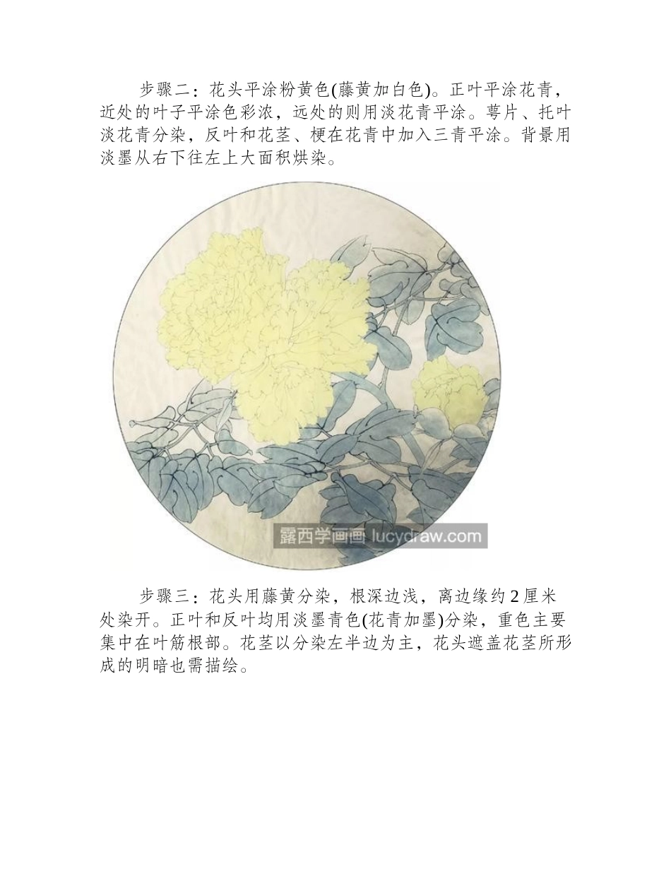 姚黄牡丹怎么画_工笔画步骤有哪些_工笔画教程_第2页