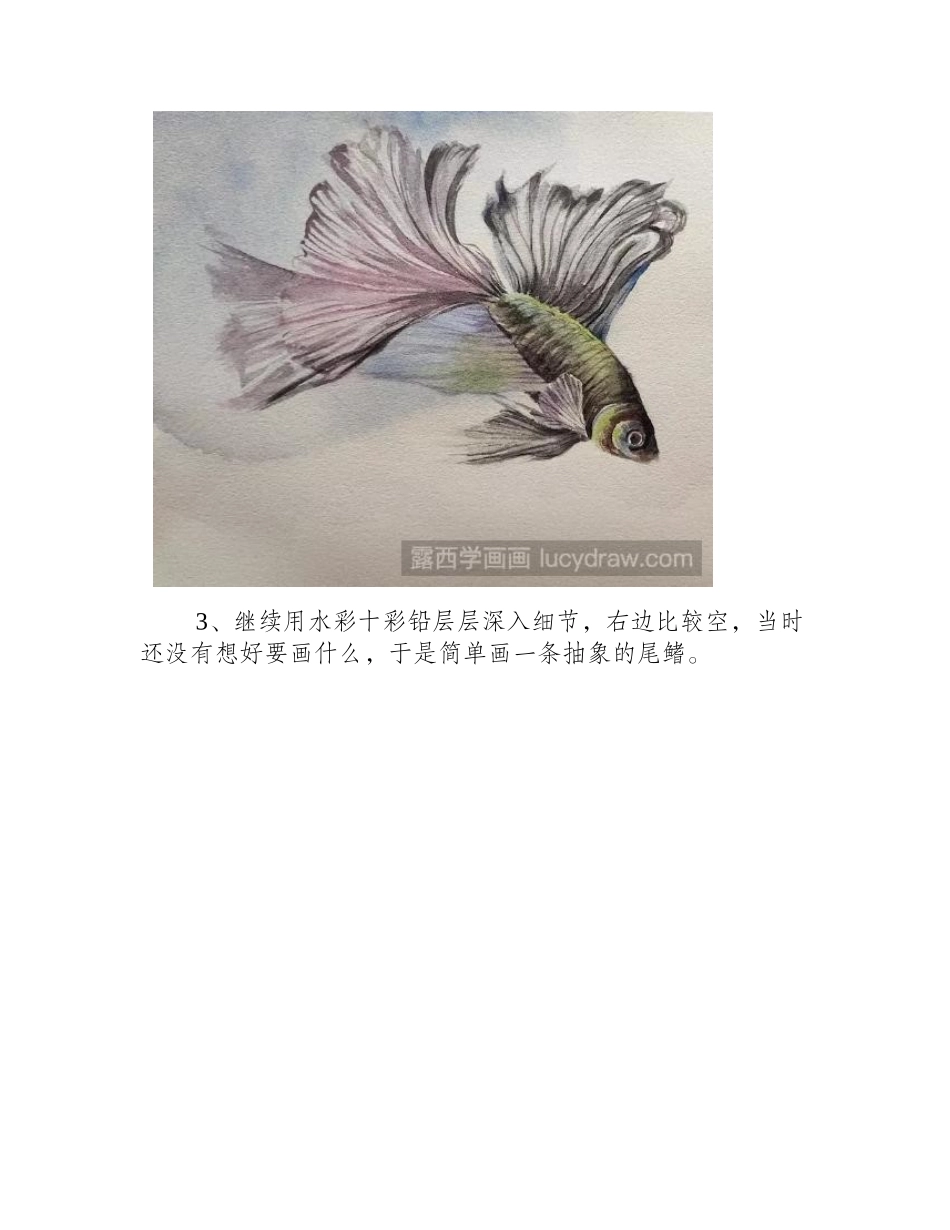 怎么用水彩画金鱼_金鱼水彩画教程分享水彩画教程_第2页