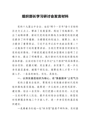 组织部长学习研讨会发言材料(贯彻落实好新时代党的组织路线 )