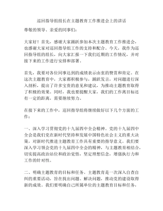 巡回指导组组长在主题教育工作推进会上的讲话 