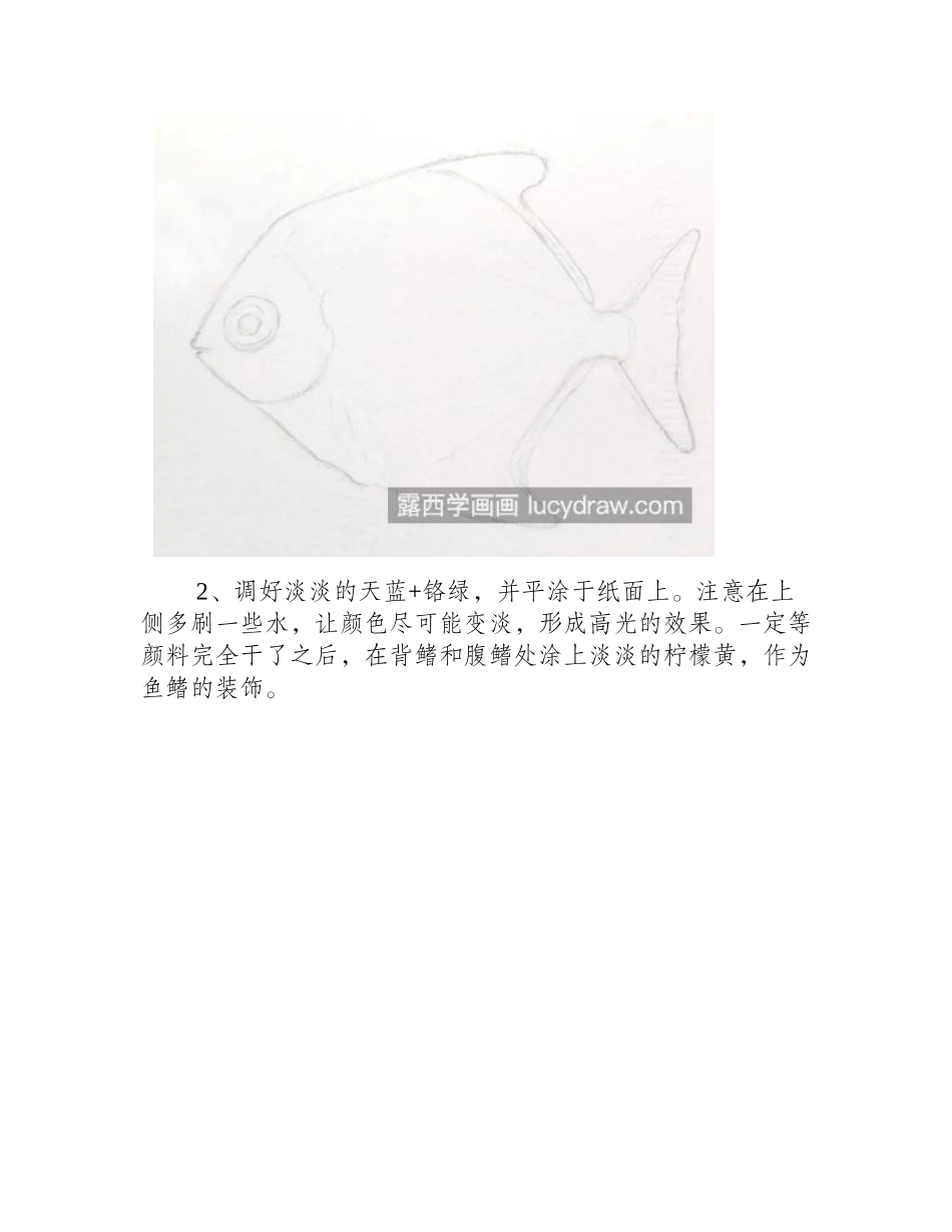 钻石鱼怎么画_月亮鱼水彩画步骤有哪些_水彩画教程_第2页