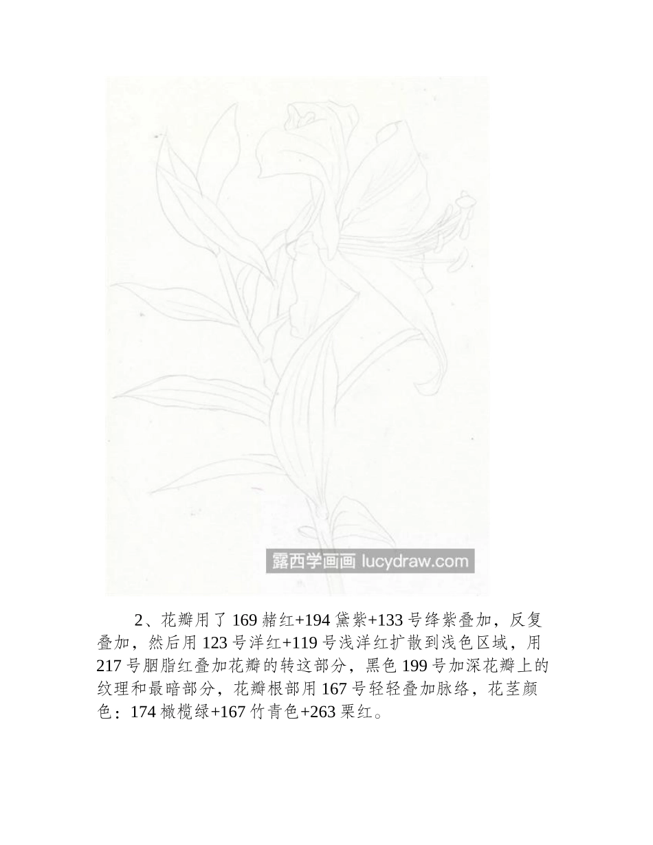 紫红色百合花怎么画_有哪些绘画步骤_彩铅画教程_第2页