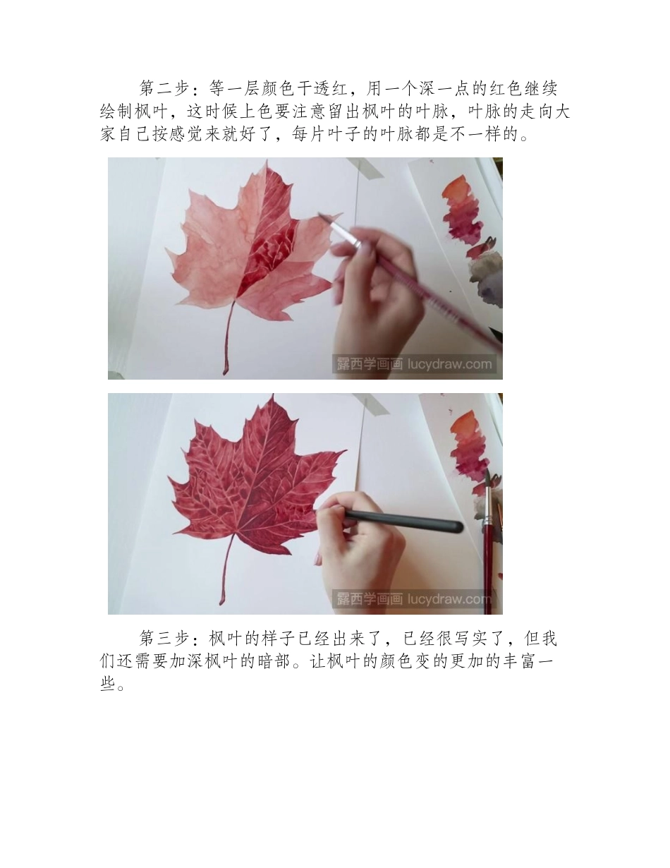 用水彩画枫叶教程水彩画教程_第2页