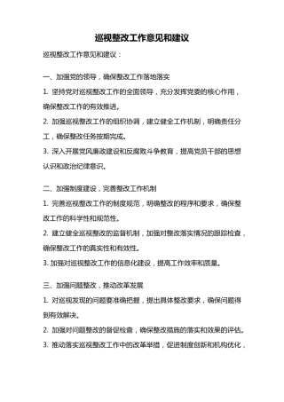 巡视整改工作意见和建议 