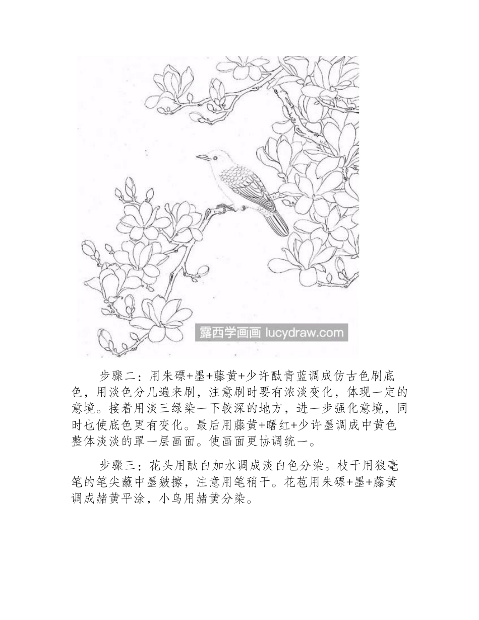 怎么画玉兰花和小鸟_绘画时要注意哪些细节_工笔画教程_第2页