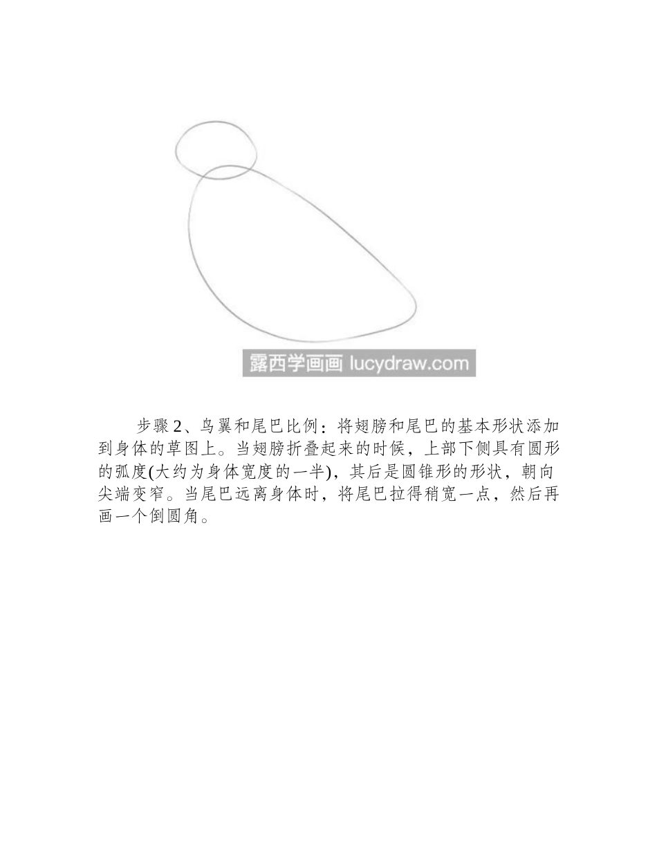 知更鸟怎么画_详细的绘画内容是什么_美术考试_第2页