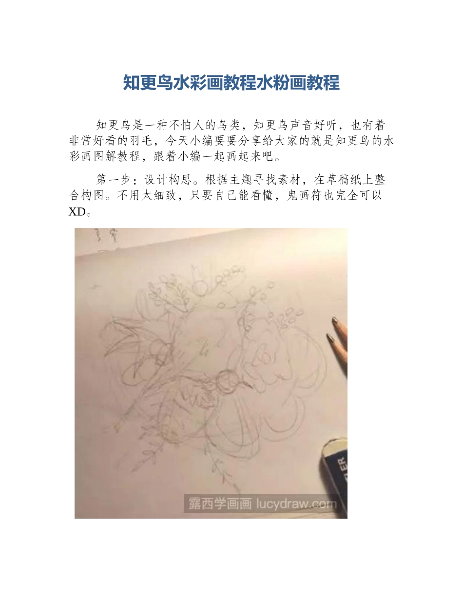知更鸟水彩画教程水粉画教程_第1页